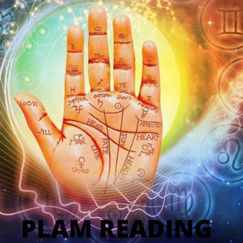 numerology & palmistry
